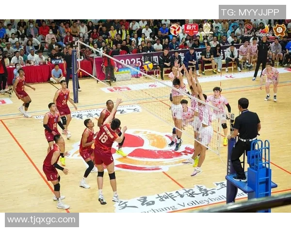 重庆排球队的团队协作之道：排球背后的默契与拼搏精神探秘