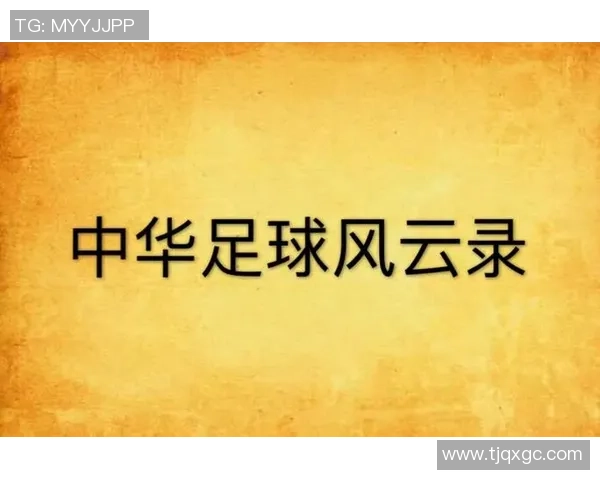 推荐几部以韩语足球明星为主题的精彩小说让你畅享足球与青春的激情
