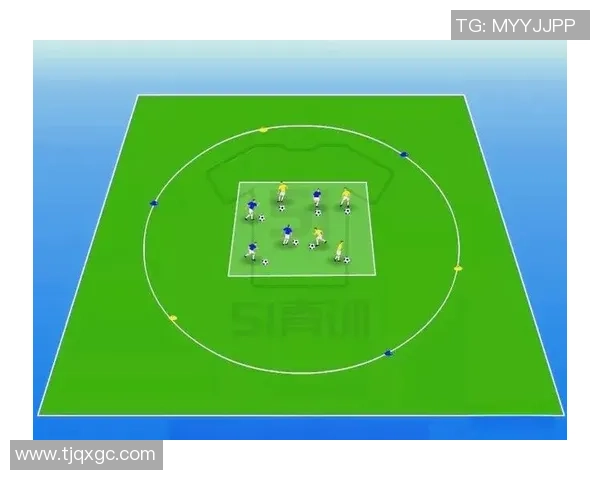 王伟独家分享排球心得与技巧助你提升球技的全面指南
