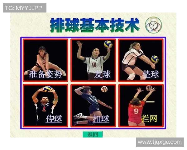 北京排球队个人能力分析与提升策略探讨