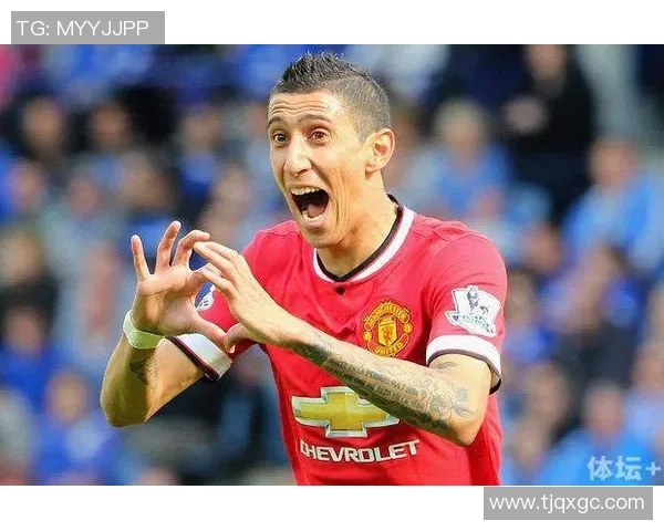 足球明星的天价保险背后隐藏的风险与保障真相探秘