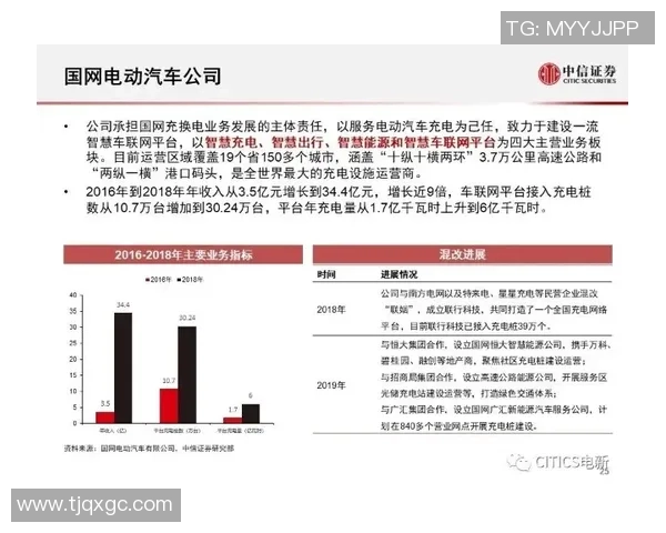 深圳网球队的节奏解析与网球热点动态深度剖析