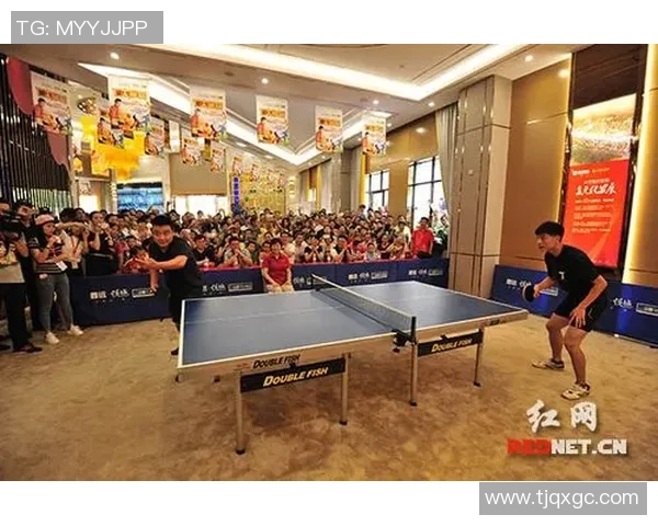 专访乒乓球名将周磊深度剖析成功背后的秘密与坚持