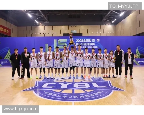 冠军赛点评:武汉篮球队的意识表现